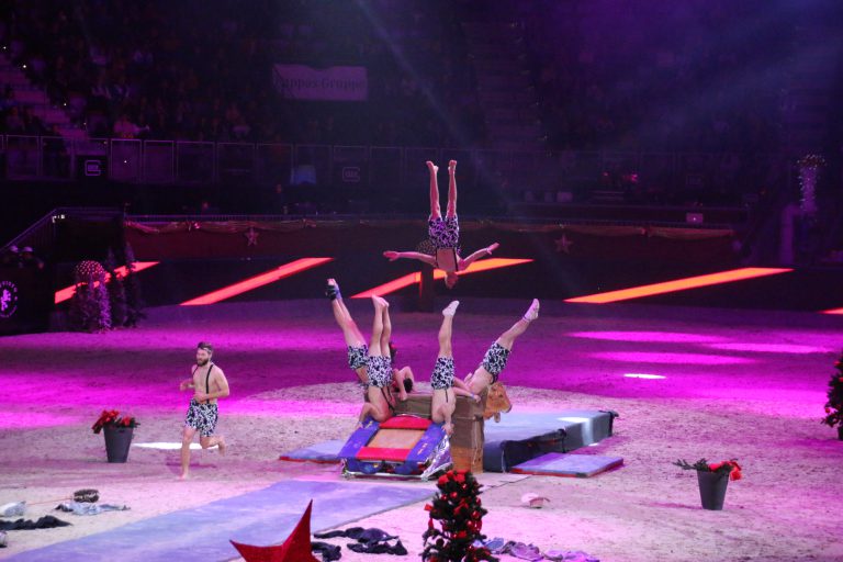 2015 Mevisto Amadeus Horse Indoors 3.-6.12.15 (99)