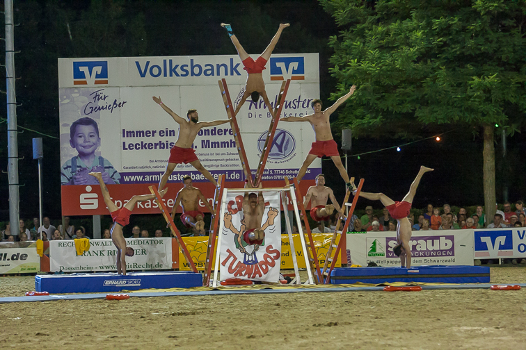 2015_Schutterwald (2)